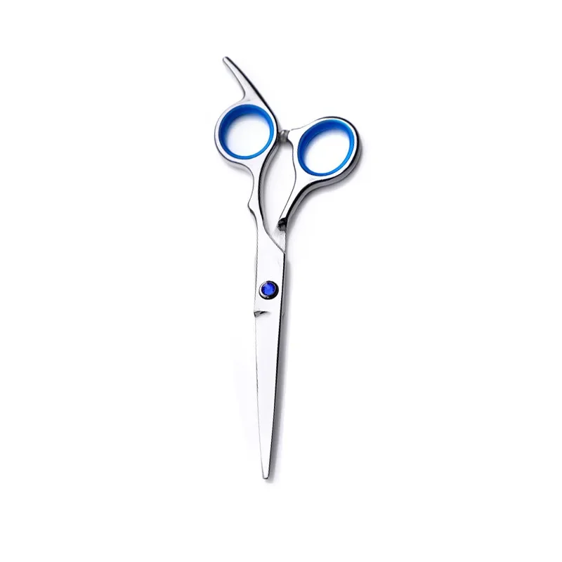 Blue flat scissors