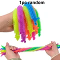 1PC dinosaur