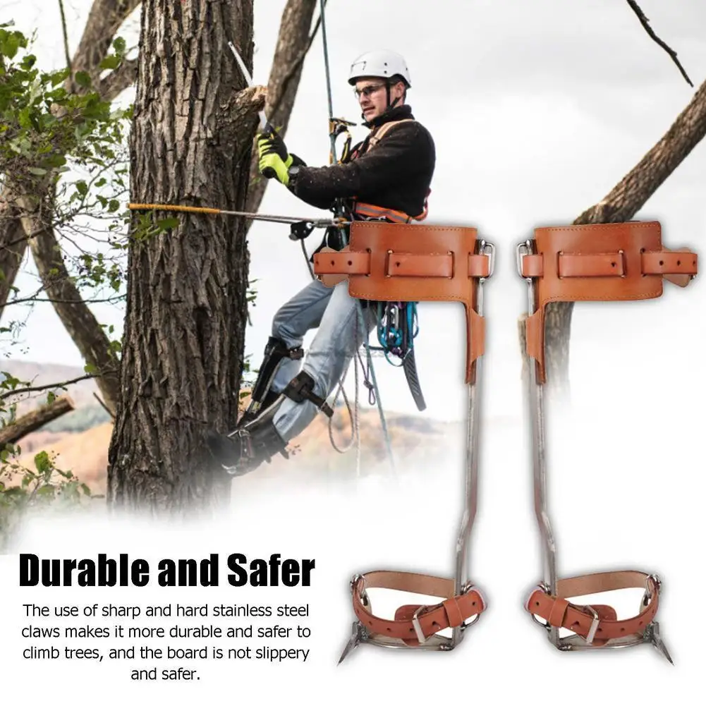 TreeClimbingSpikeSetStainlessSteelClimbingNailsTreeClimbing