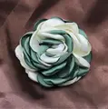 Green Beige