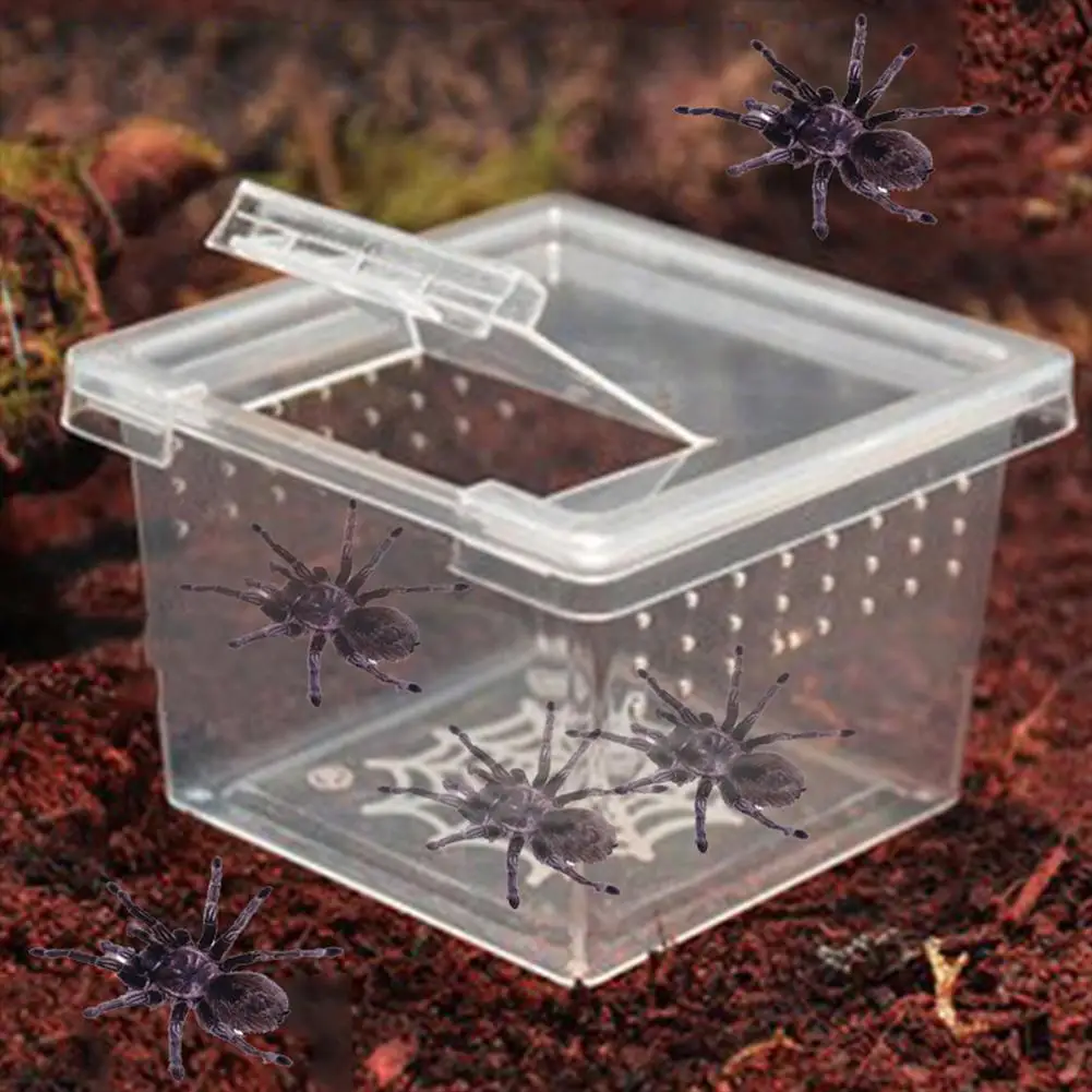 Aquarium Tank Vivarium Box Reptile Breeding Box With Flip Cover Transparent Breathable For Frogs Snake Spider Portable Reptile Terrarium Habitat