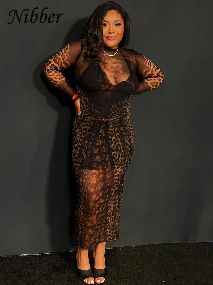 Nibber Leopard Print Dress Women See Through Coquette Full Sleeve o-Neck Fall Trend Midnight Party Clubwear Stretch Vestidos 2
