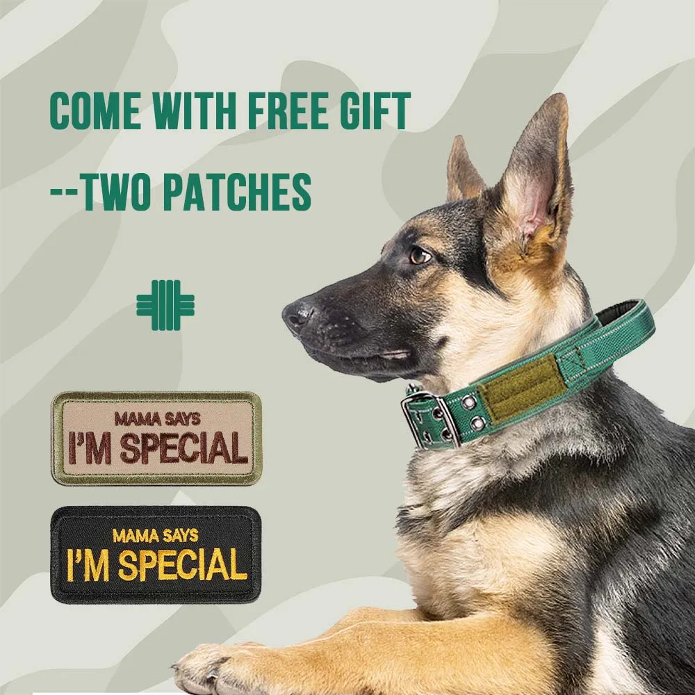 Heavy Duty Double Buckle Design Tactical Dog Collar Military-Grade Dog Collar with Handle for Medium and Large Dogs dog collar pet collar