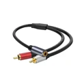 3.5 Female to 2RCA M