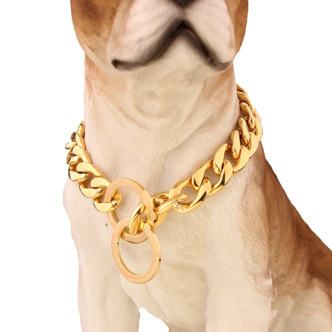 Supper Cute Dog Neck Chain Gold Color/ Jewelry for Pet /jewelry Collar for  Frenchie/ - Etsy | Cute dogs, Cute puppies, Cute dogs and puppies