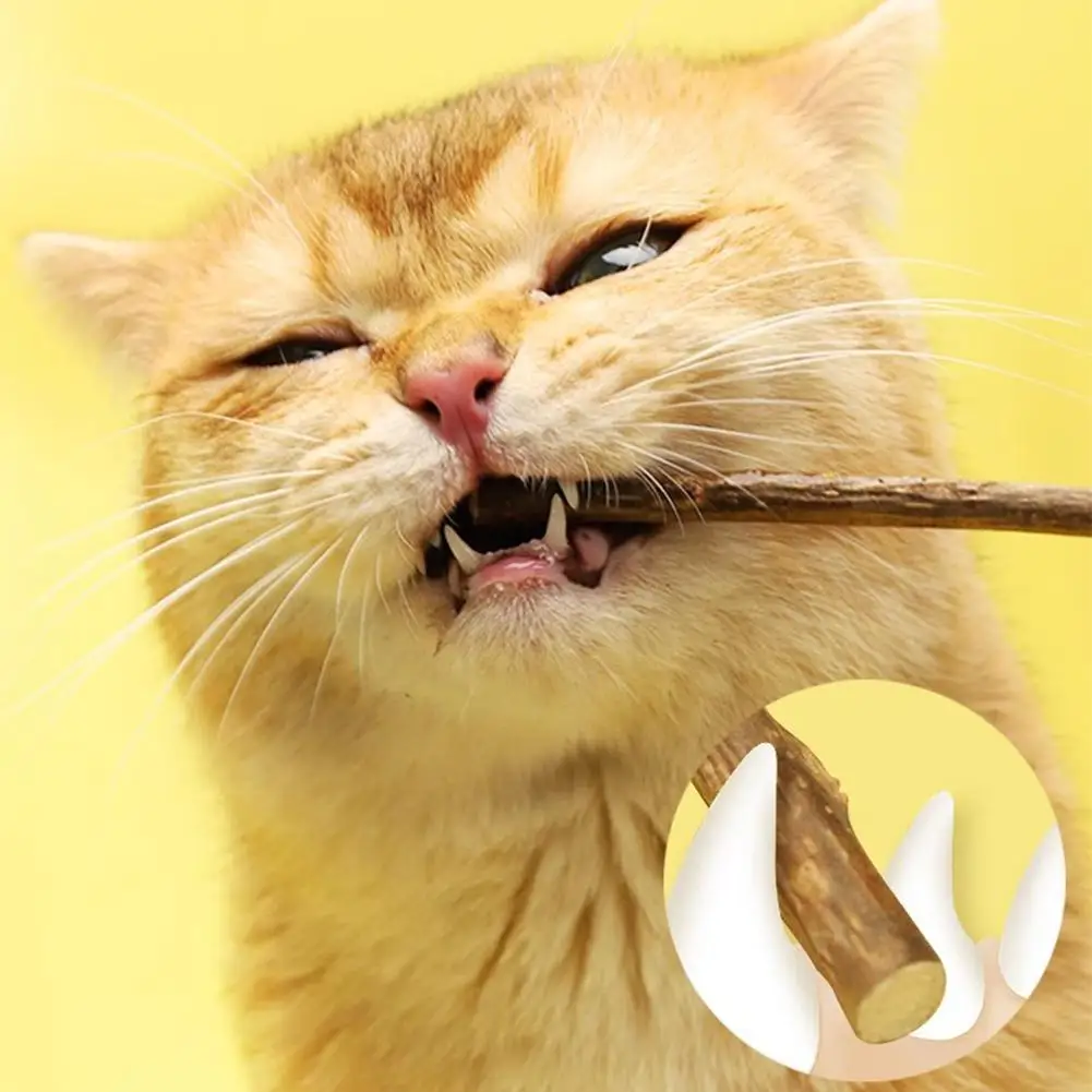 

Cat Chew Toys Pure Natural Catnip Cleaning Teeth Interesting Snacks Cat Pet Cat Molar Sticks Supplies Stick Toys Cat Health P8U5