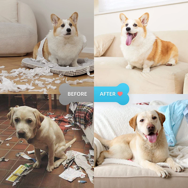 INN Anti Aboiement Chien Ultrason 15-30khz 3 Niveaux Réglables Dispositif Anti-aboiement Anti Aboiement Chien Ultrason Anti - Animalerie