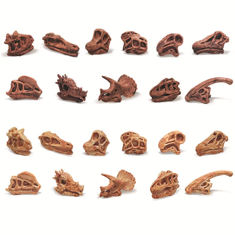 Dinosaur Toy Simulation Animal Skull Plastic Fossil Teaching Dinosaurs Skeleton Model for Collectors Craft Gifts Home Decor Toys 2