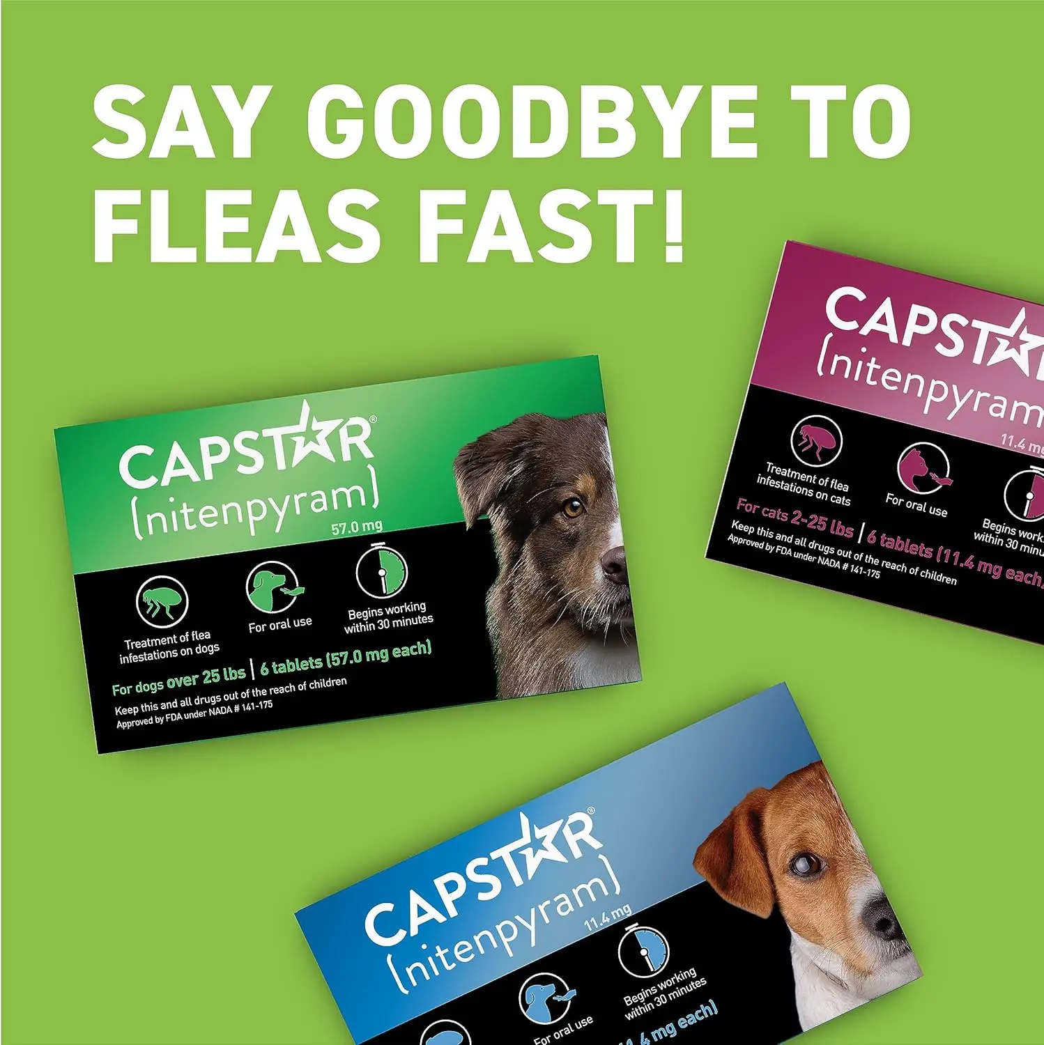 Oral Flea Treatment for Dogs, Fast Acting, 12 Tablets, Medium & Large Dogs (Over 25 lbs)