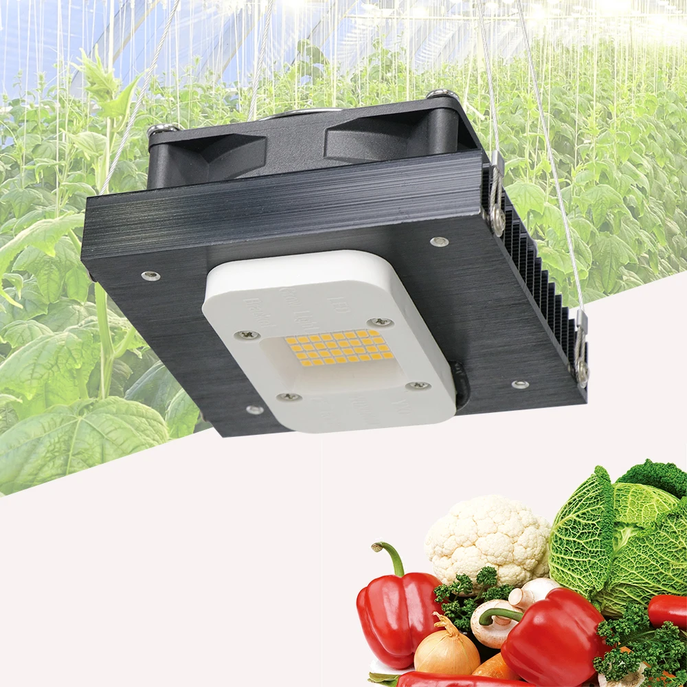 Full spectrum led grow light lm283b high brightness growing lamps