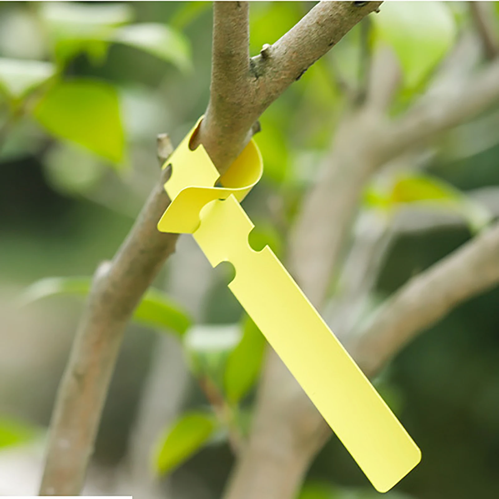 Description Picture 6 of itemGarden Plant Labels Plastic Durable Waterproof Nursery Gardening Plants Hanging Tags Sapling Fruit Trees Marker Signs 200 Pcs
