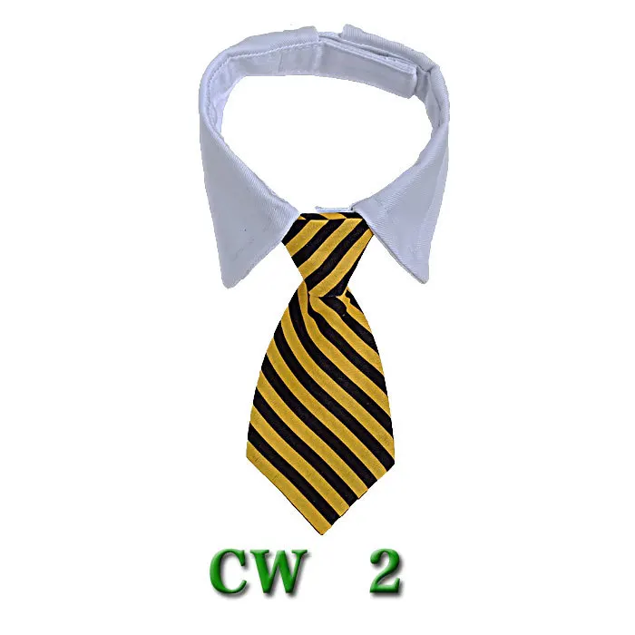 Sa41e29d3774c45418f338a6651430167L