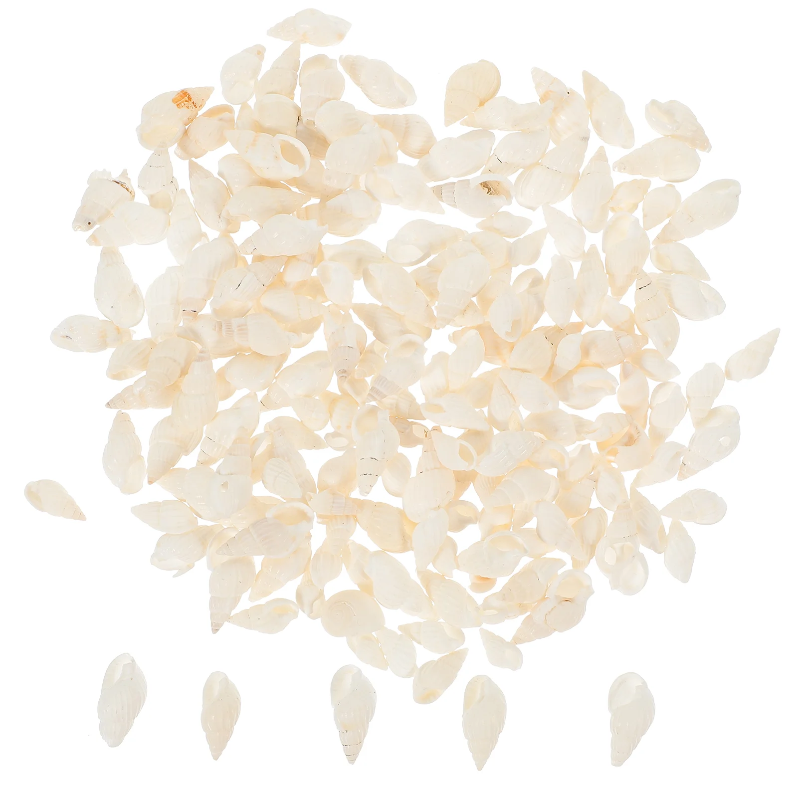 

200 Pcs Wedding Decorations Conch Shell Shells Exquisite DIY Fish Tank Bottom Natural Craft Adorn