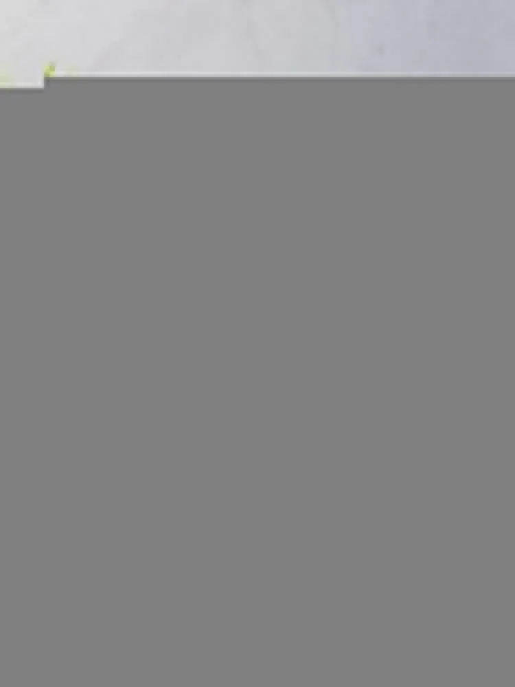 Star Lake ���ο� ���, ���Ÿ� �����̳�, ķ�� �̺� ���