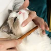 Cat Comb Stainless Steel Pet Hair Remover Wooden Handle Cat Hair Comb Pet Grooming Massage Dog Brush Cleaning Tool Pets Supplies 3