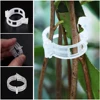 50/100pcs Plastic Plant Clips Supports Connects Reusable Protection Grafting Fixing Tool Gardening Supplies for Vegetable Tomato 2