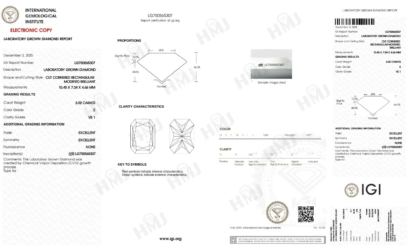 1ct/2ct/3ct Laborgezüchteter Diamantring D-Farbe Rund/Oval/Kissen/Radiant-Schliff 10k/14k/18k für Damen Jubiläumsgeschenk Ehering – Detail 3