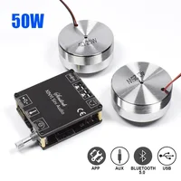 2*25W Portable Stereo Vibration Speaker Audio Loudspeaker with 50W Bluetooth 5.0 Class D Amplifier DIY HIFI System Home Theater