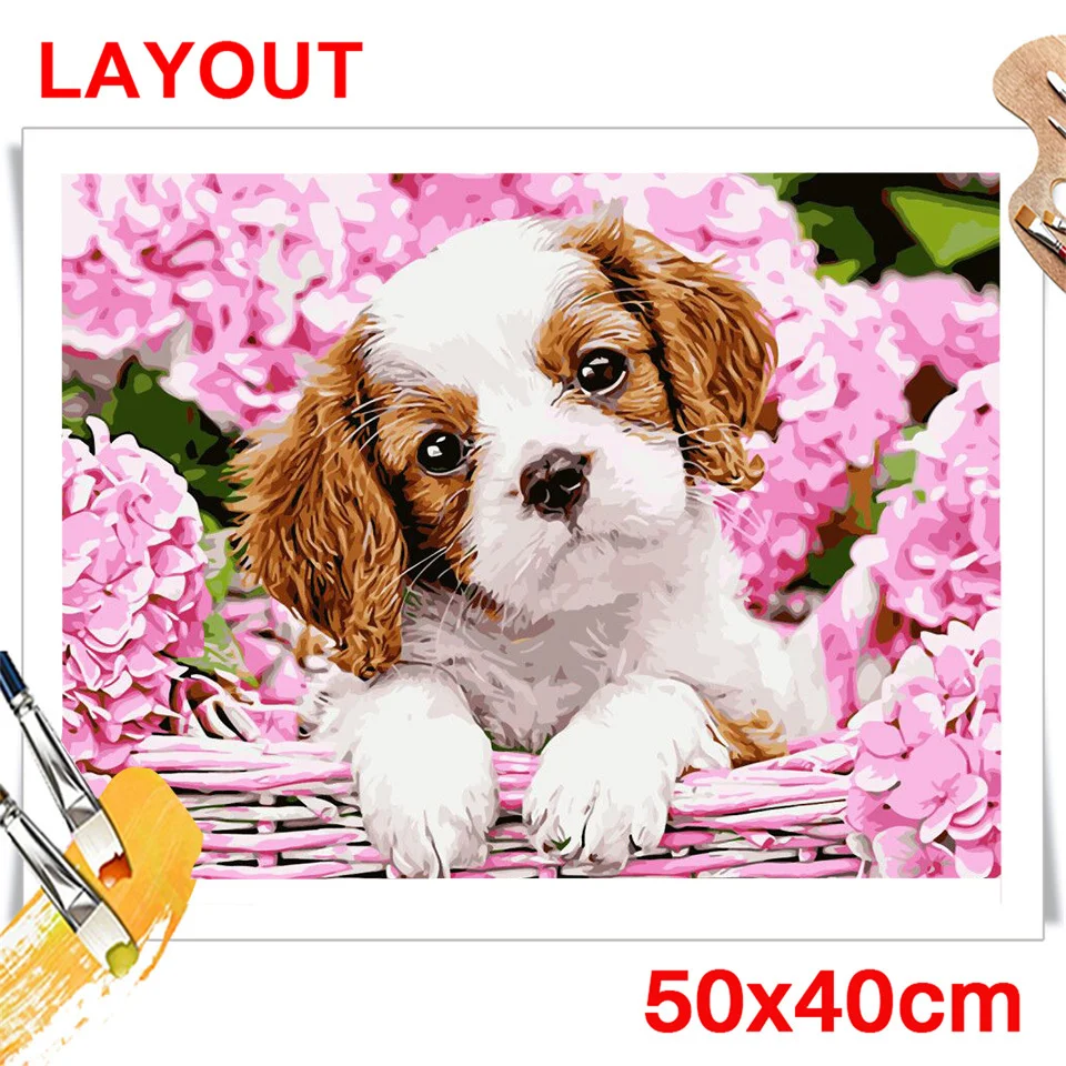 56947.jpg_.webp 56947.jpg_.webp