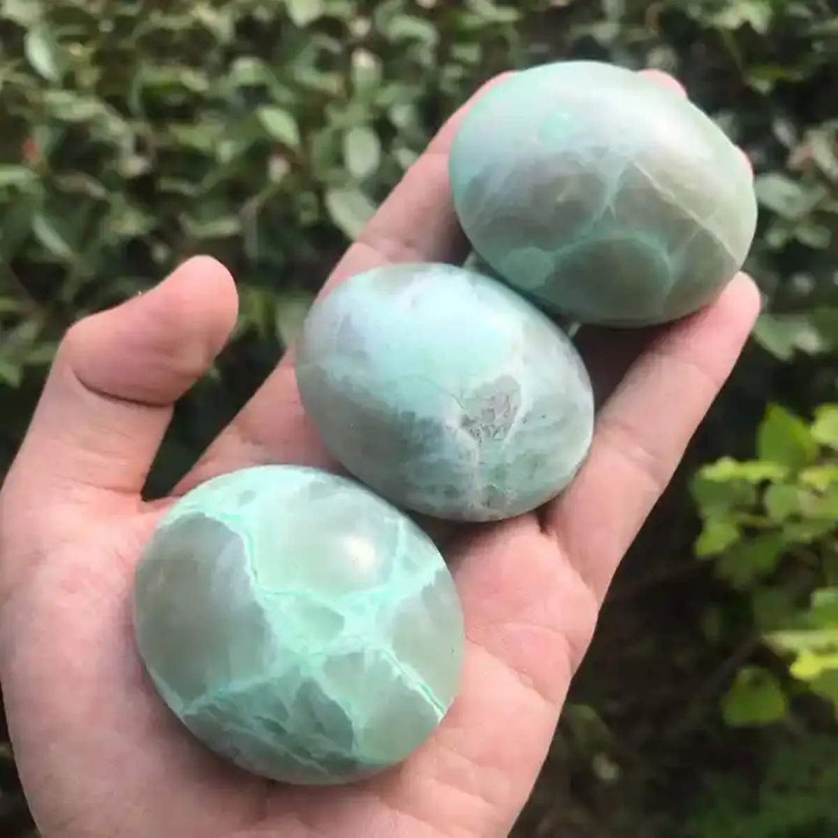 Pietra Di Palma Lucidata Naturale Pietra Di Palma Garnierite Decorativa Palma Di Pietra Di Luna Verde Per La Guarigione