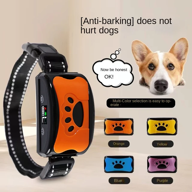 Can A Bark Collar Kill A Dog
