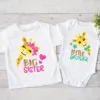 Big Sister Little Brother Family Matching Clothes Giraffe Print Boys Girls T-shirt Toddler Romper KidsTops Short Sleeve Outfits 1