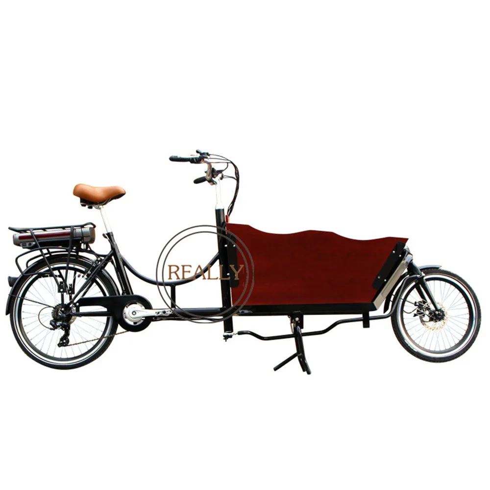 2 Ruote Mini Bici Motorizzata Cargo Elettrico Trike Kids 36V 250W Electric Family Cargo Bike Bicicletta Elettrica