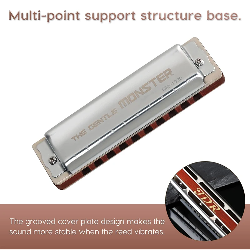 JDR Blues Diatonic Harmonica Key C Wood 10 Holes For Professional Beginners