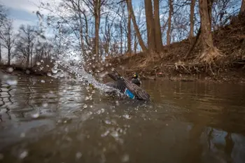 Water Motion Duck Hunting Decoys, Lucky Agitator 5