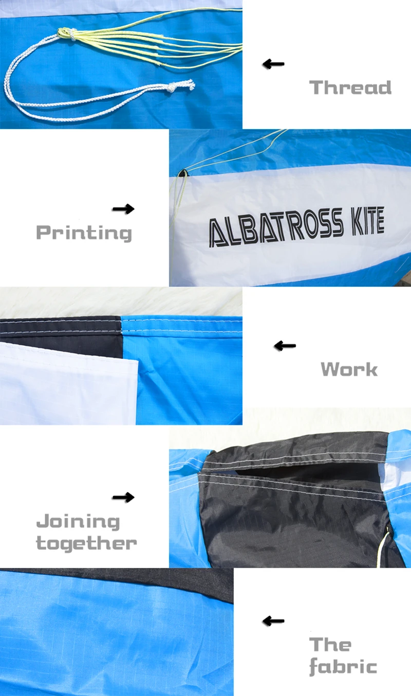 Dual Line Stunt Flying Power Kite Rainbow große weiche Drachen für Erwachsene Elektroschocker Schocker Kevlar Outdoor-Spiele Tierkoi – Detail 16