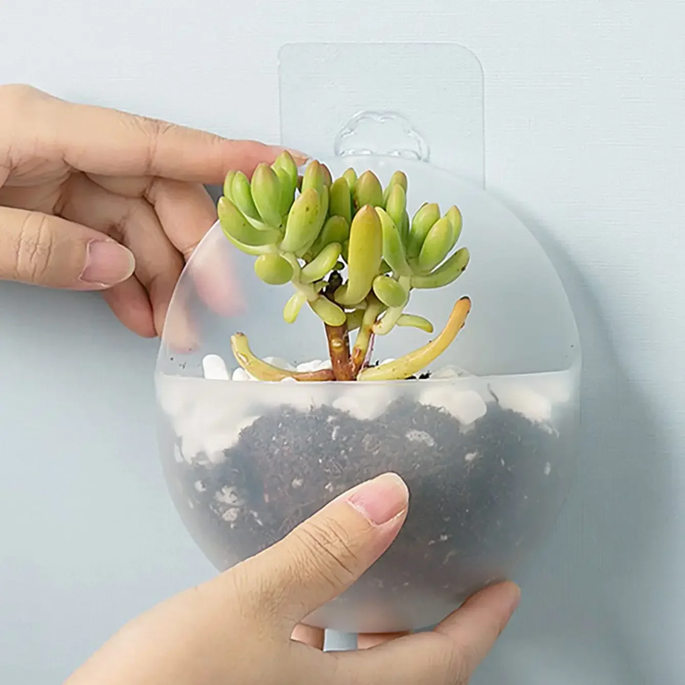 1pc, Home Hydroponics Wall Hanging Flower Pot Wall Hanging Type Flower Bottle Plastic  Wall Green Carrot Hanging Flower Pot