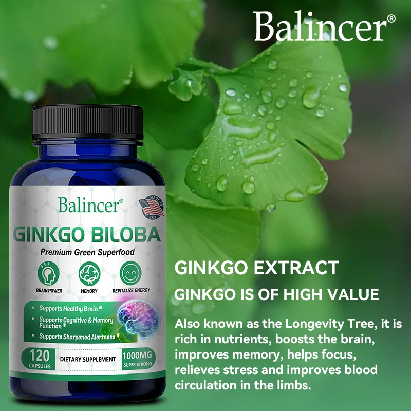 Ginkgo Leaf Extract Memory Focus Supplement