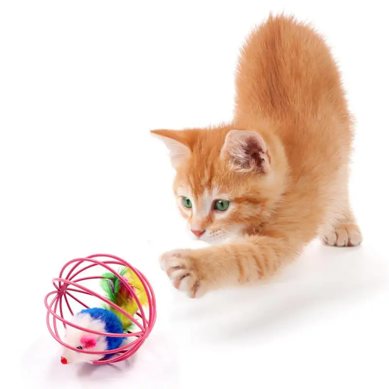 1pc Pet Cat Toy Funny Mouse In Cage Cat Interactive Toy Cat Play Toy Cat Mouse Toy Pet Supplies Pet Accessories