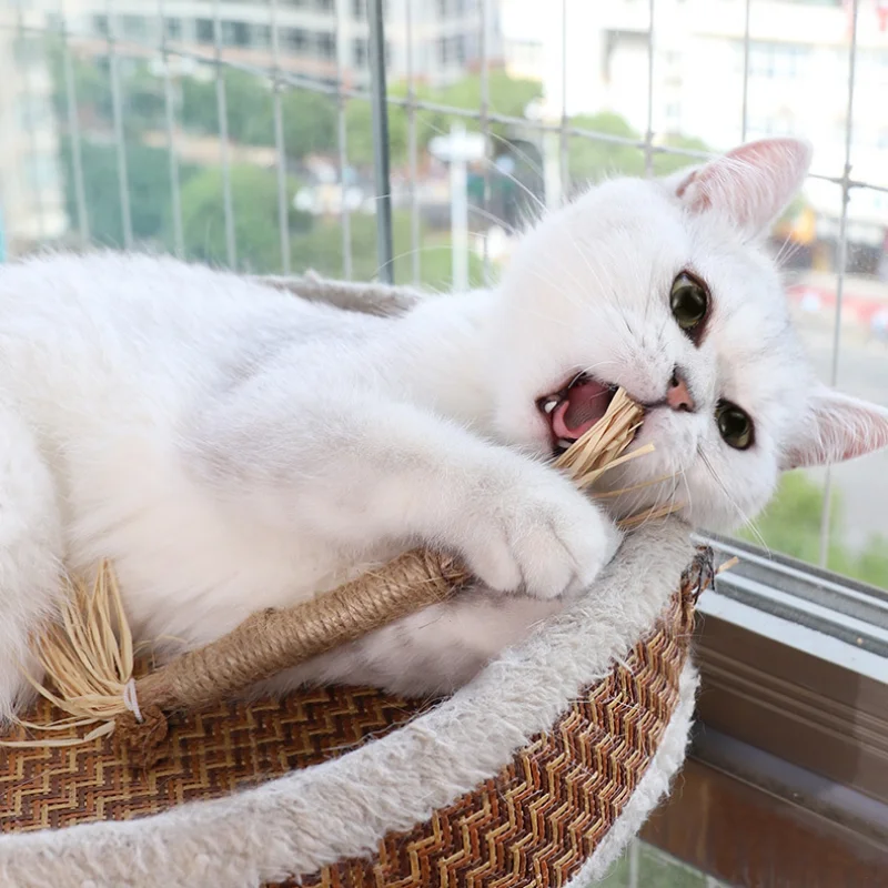 Cat Toys Silvervine Chew Stick Polygonum Kitty Raffia Grass Pet Supplies Cleaning Teeth Stick Pet Bite Cat Toy Hemp Rope 1 Pc