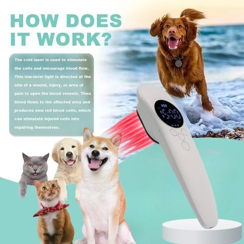 Handheld 650nm+808nm Cold Laser Device Rechargeable LLLT for Muscle Repair & Pet Pain Management