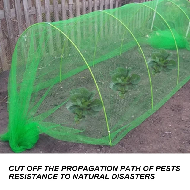 2X5 Méter Kerti Zöldség Rovar Anti Madár Nettó Zöldségvédelem - Image 4