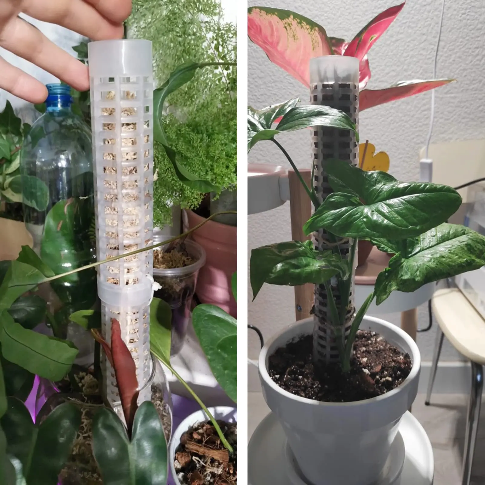 Plastic Plant Climbing Column Plant Pole Sphagnum Support Trelli Frame Water Moss Column Pole Potted Flower Vines Climbing plant climbing support