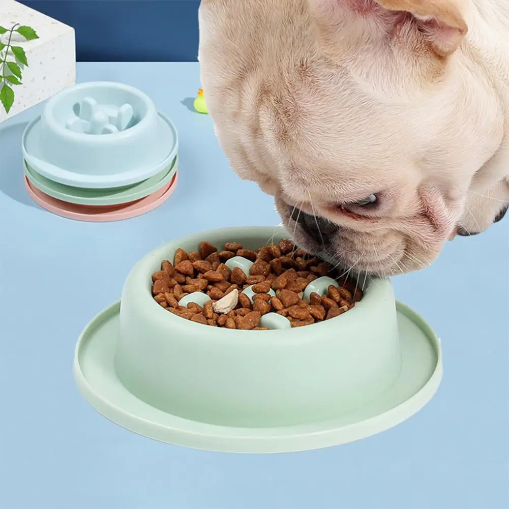 

Pet Slow Feeder Dog Bowl Anti-Choking PP Safe Cat Dog Slow Food Feeder Bowls Pet Anti-Choking Bowl Pet Supplies