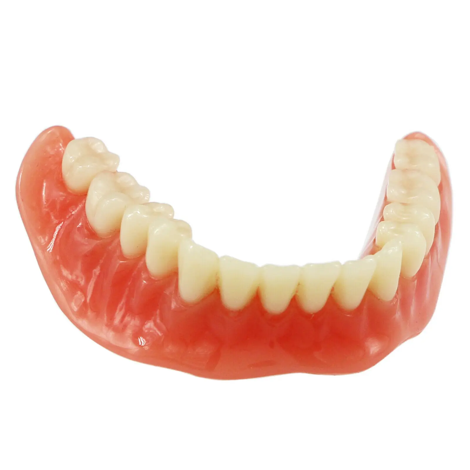 NEW Dental Implant Tooths Model Overdenture Inferior with 4 Implants Demo #6003