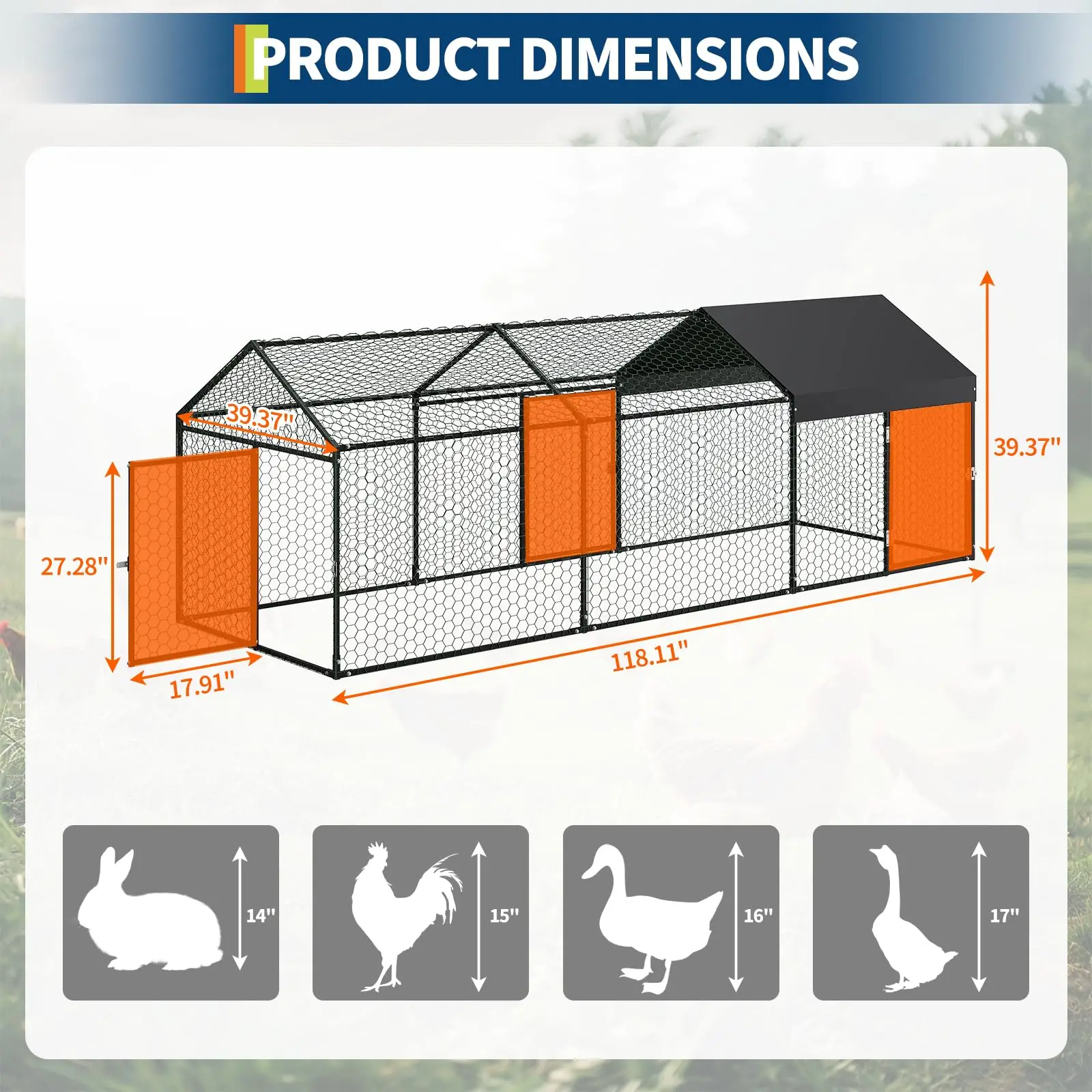 Heavy Duty Walk-in Metal Chicken Coop 6