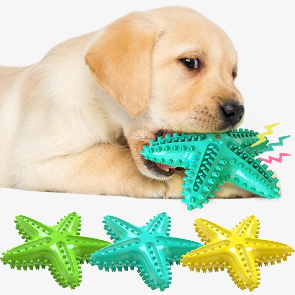 Funny Starfish Squeaky Chew Toys