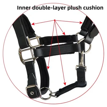 Padded Horse Halter 4