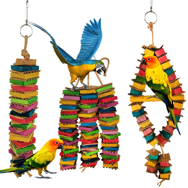 Jouet oiseau perroquet en carton m cher jouets pour petits et grands oiseaux accessoires