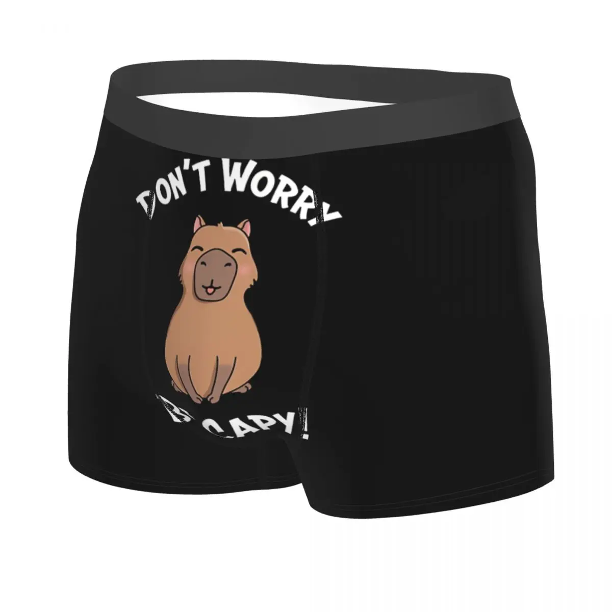 Capy Man's Boxer Briefs Capybara Highly Breathable Underwear Top Quality Print Shorts Birthday Gifts 2