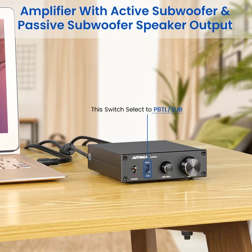 AIYIMA-오디오 A3001 TPA3255 서브 우퍼 앰프, 300W HIFI 스피커 앰프 모노 사운드 파워 클래스 D 홈 오디오 4