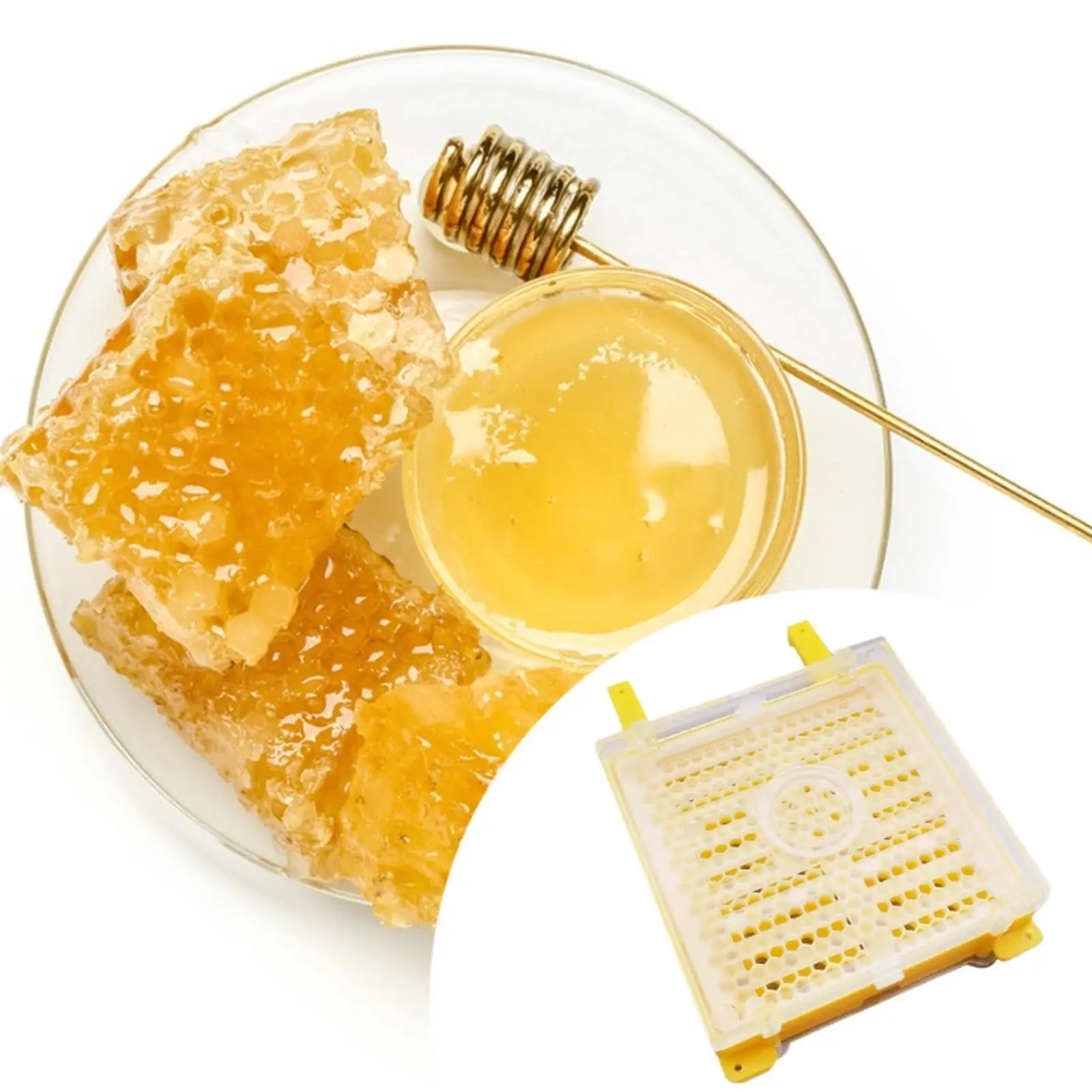 Beekeeping Grafting Set Easy Use Multifunctional Queen Rearing System Yellow