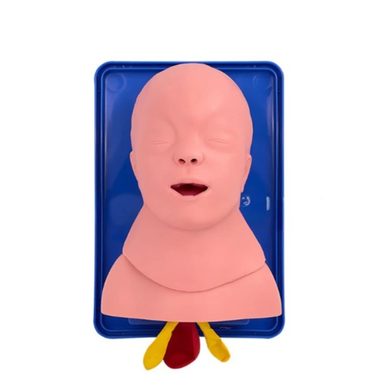 

G5AA Human Baby Tracheal Intubation Training Model