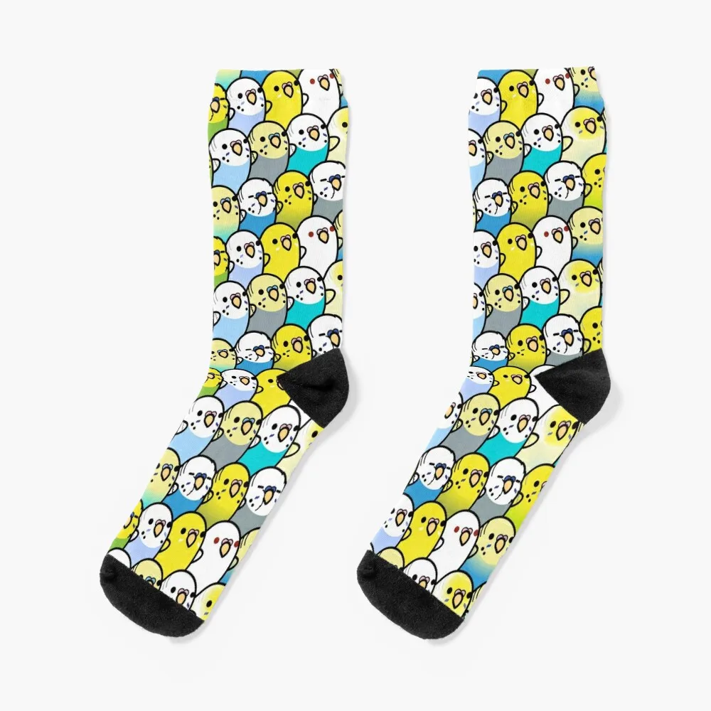 Bunches of Budgies Socks luxury New year's essential Man Socks Women's