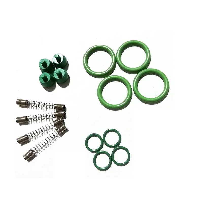 LPG CNG Kits For OMVL NT401 Injection Rail Repair Kit for injector repair kits,lpg conversion kit