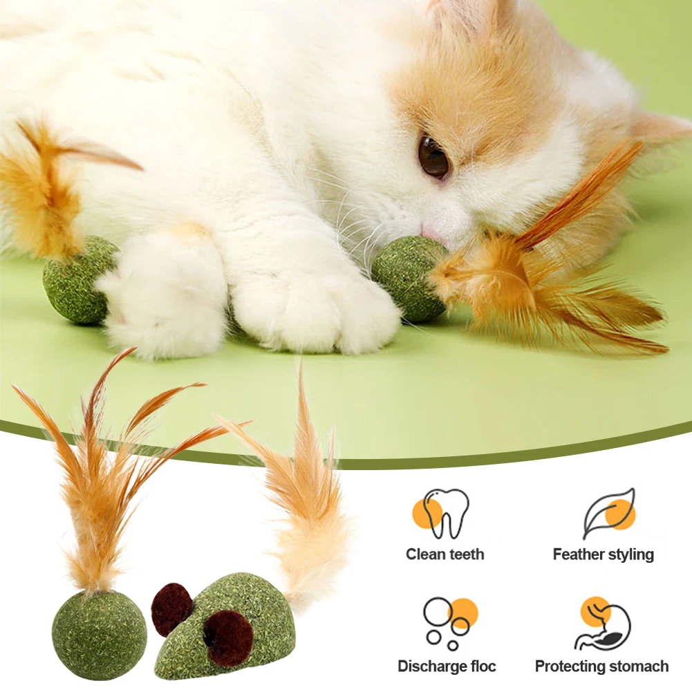 Cute Shape Freshen Catnip Ball Toy Cat Licking Playing Snacks Cat Mint Breath Mint Lollipop Toy Cat Supplies Pet Digesting Tool